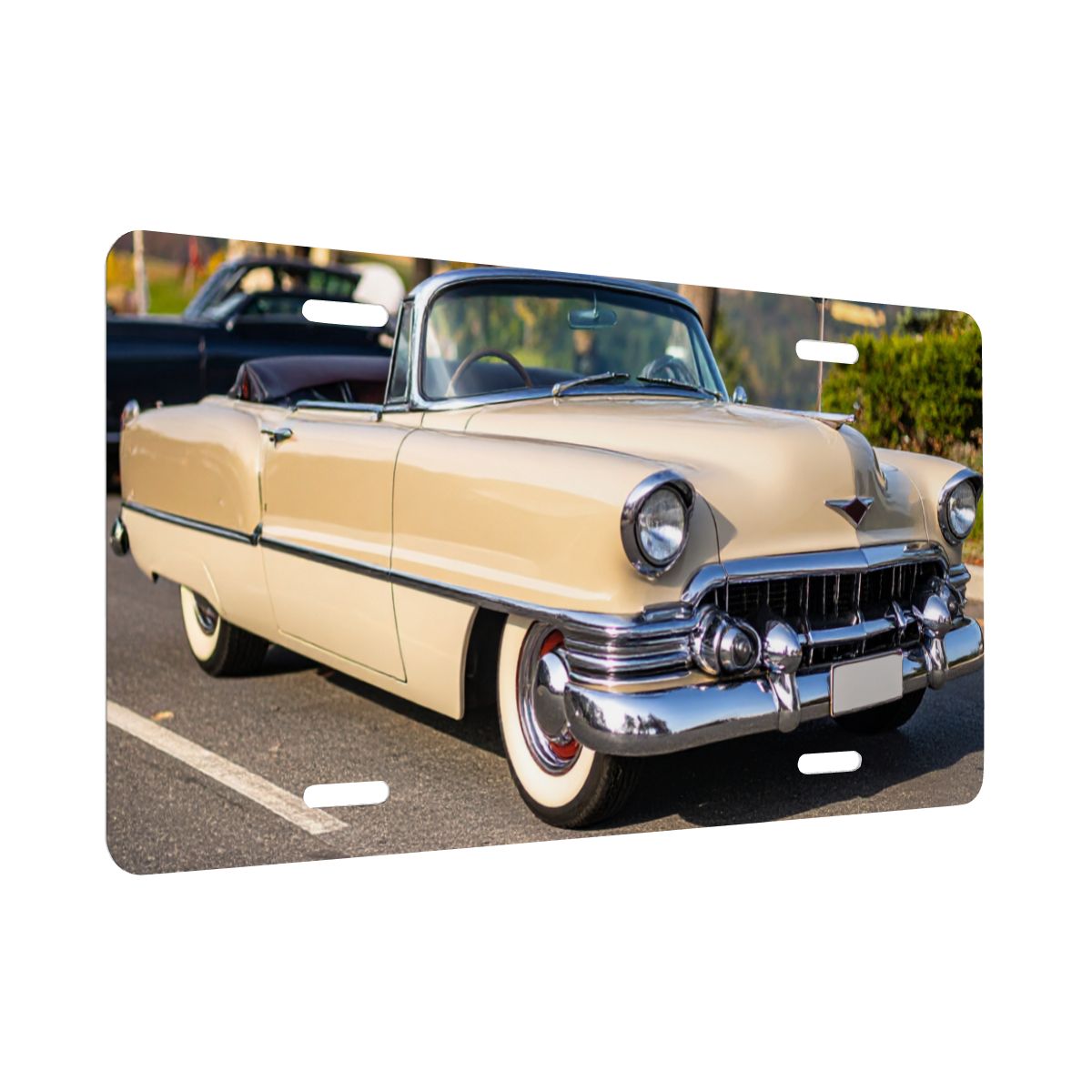 Aluminum License Plate 1954 Cadillac Series 62 Convertible tvåfärgad