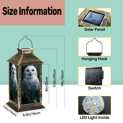 Solar Lantern