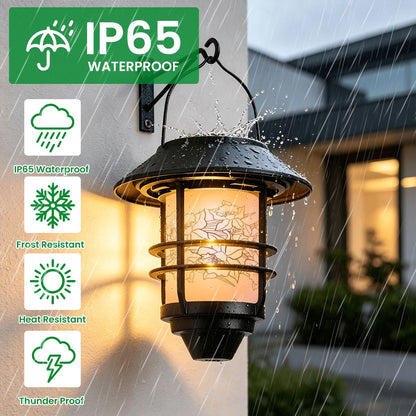 Hanging Solar Lights 2pcs