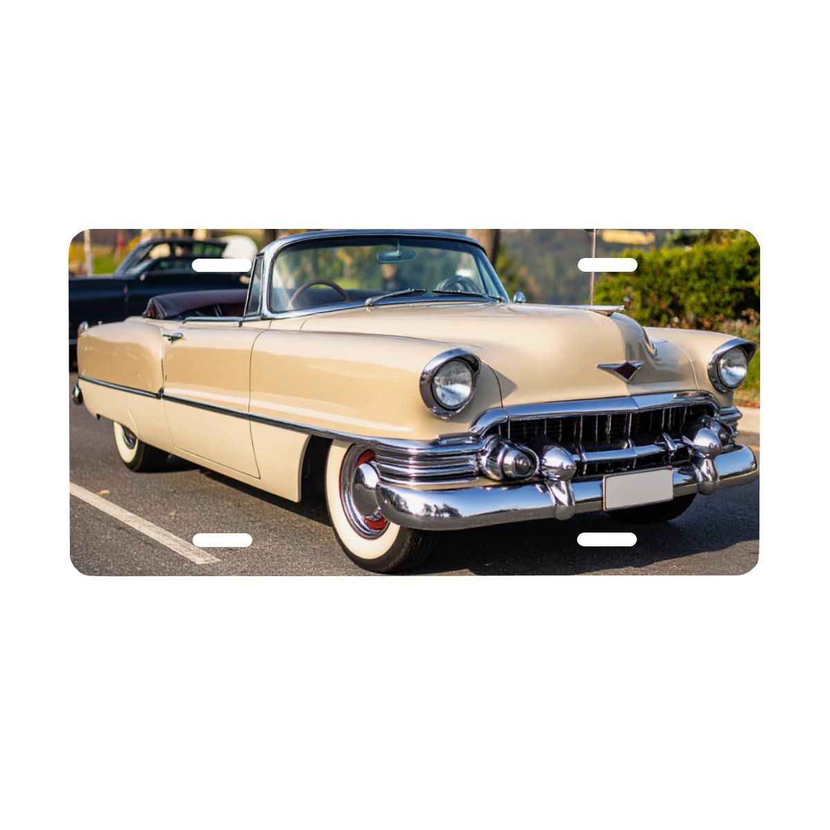 Aluminum License Plate 1954 Cadillac Series 62 Convertible tvåfärgad