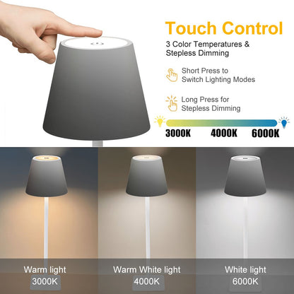 LED Cordless Table Lamp Grayscale