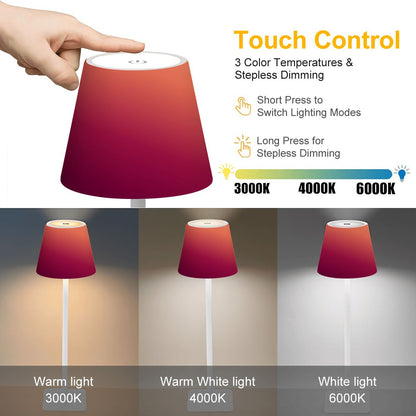 LED Cordless Table Lamp Brownie