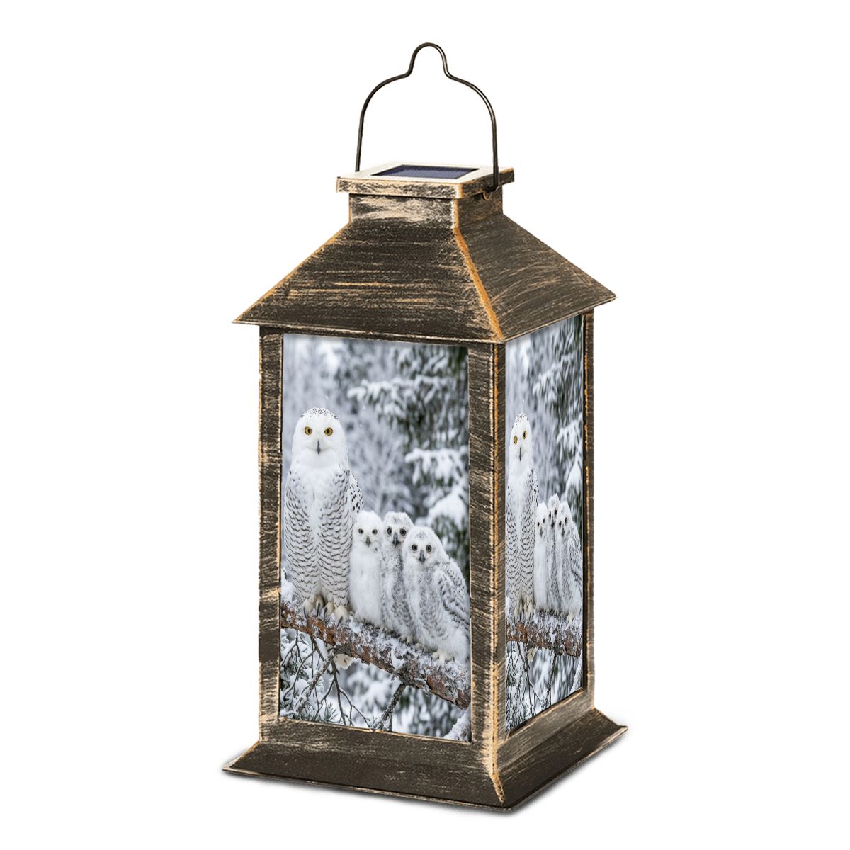 Solar Lantern
