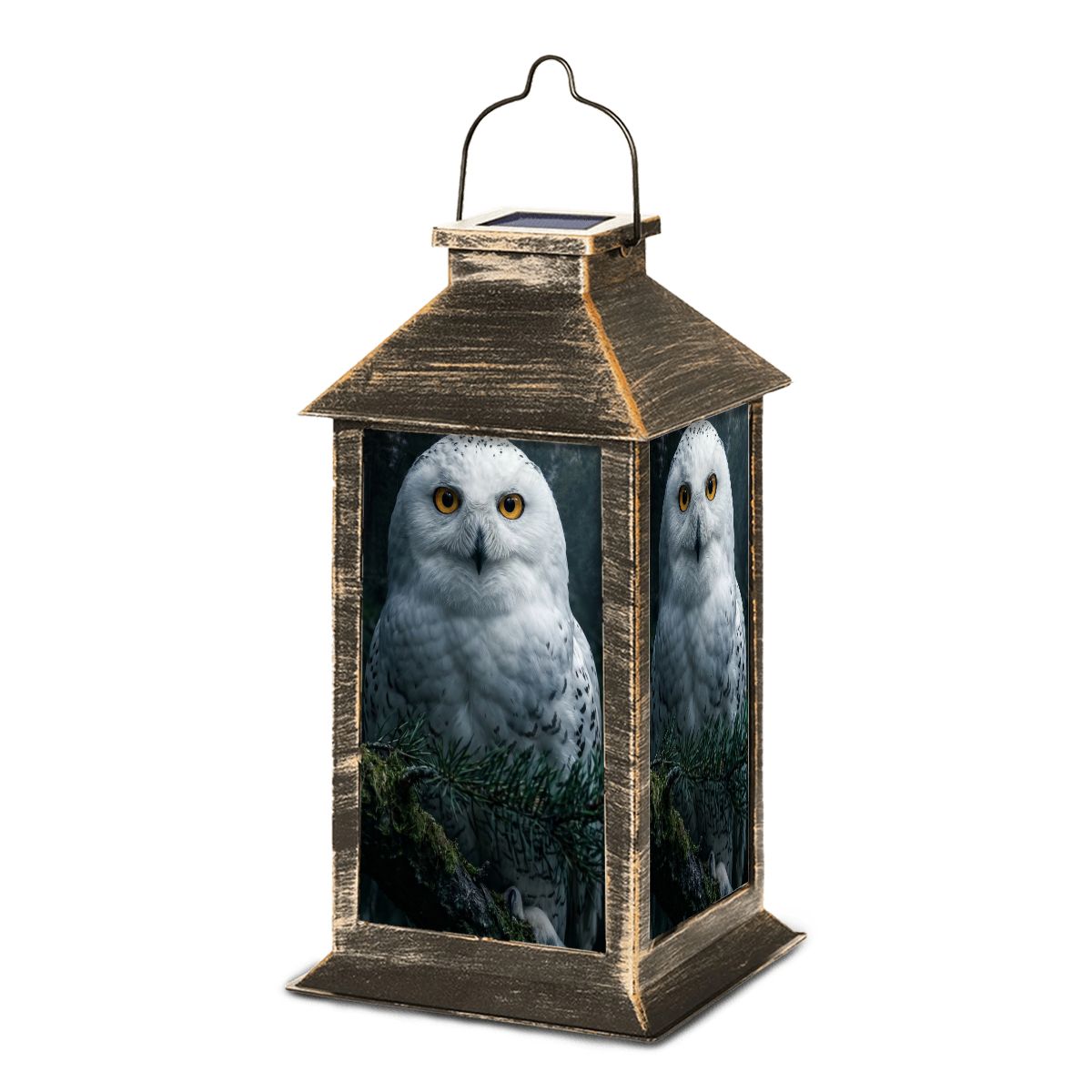 Solar Lantern