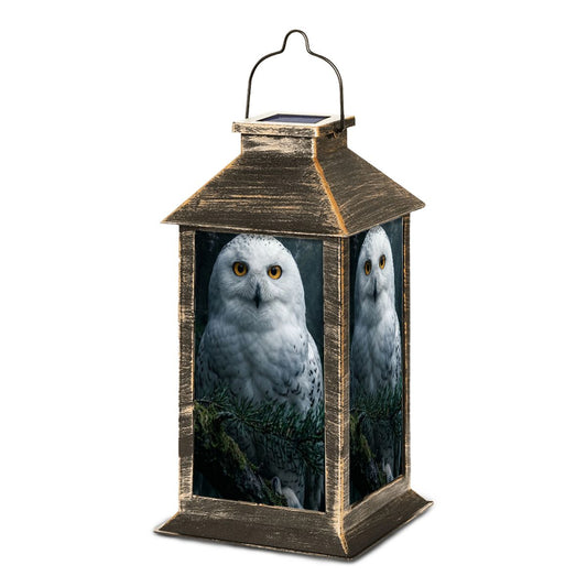 Solar Lantern