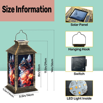 Solar Lantern Shorts