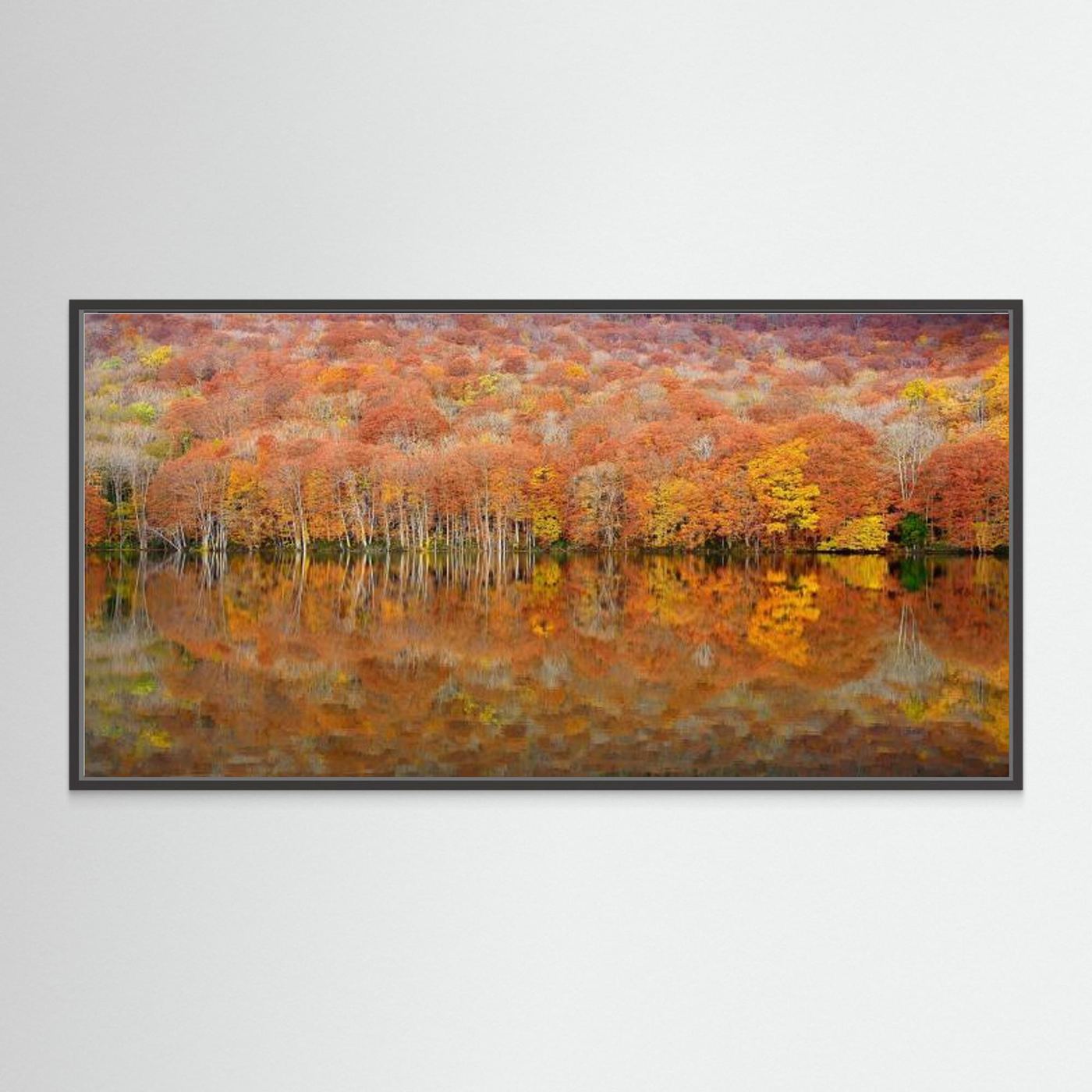 glowing autumn by Sho Shibata