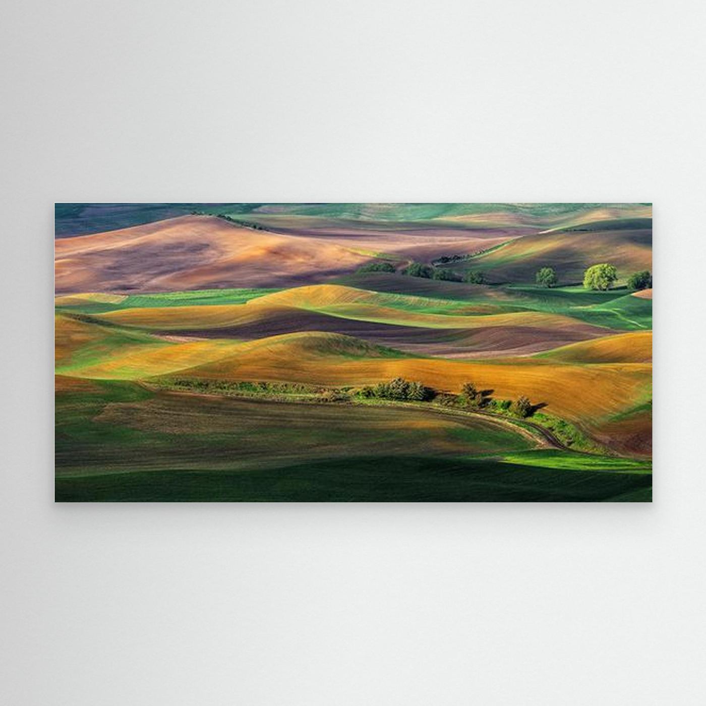 The Palouse by Hua Zhu