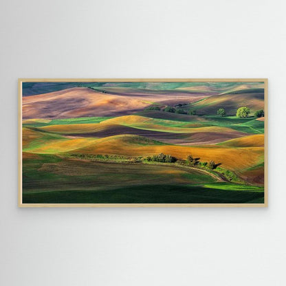 The Palouse by Hua Zhu