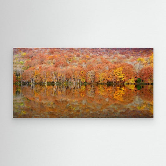 glowing autumn by Sho Shibata