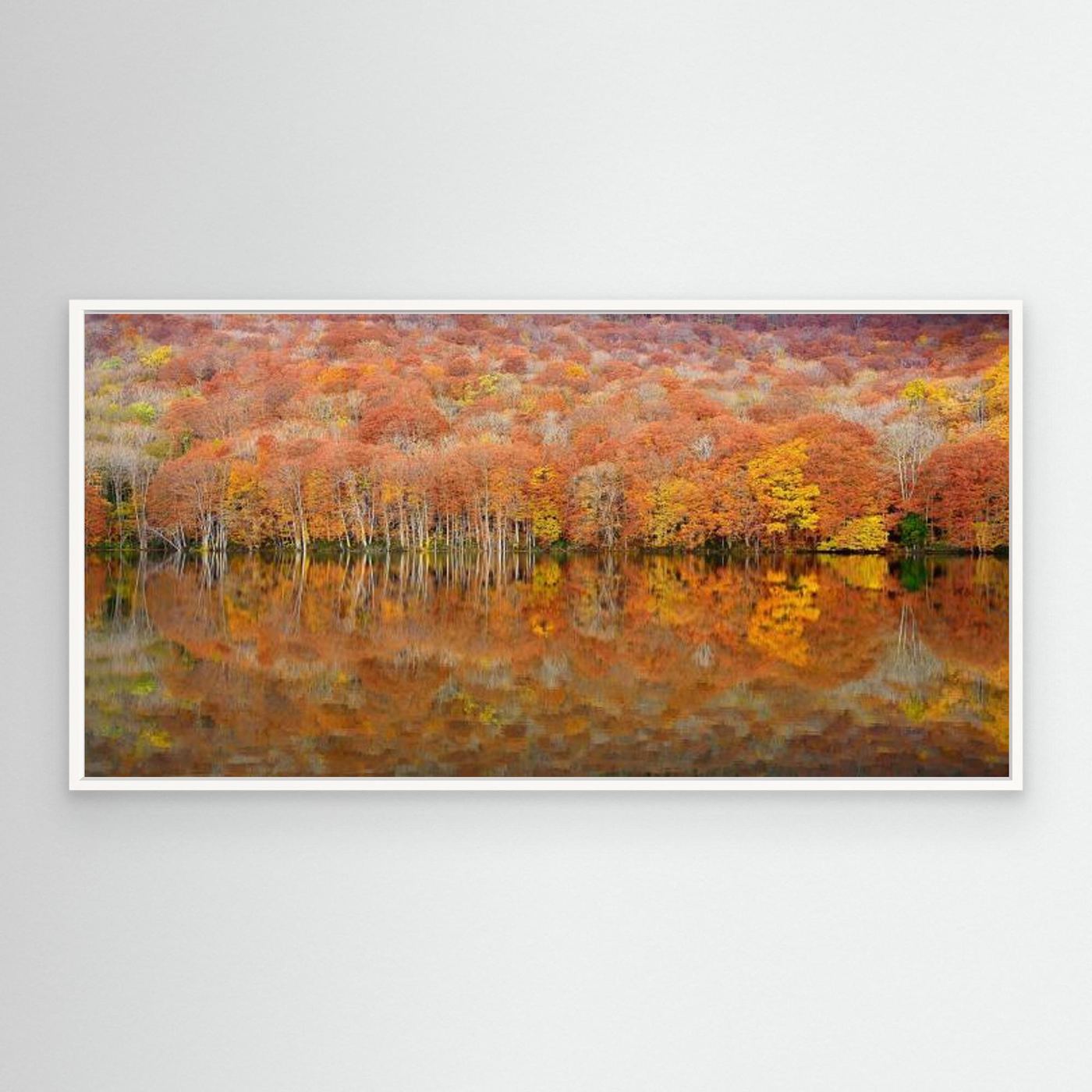 glowing autumn by Sho Shibata