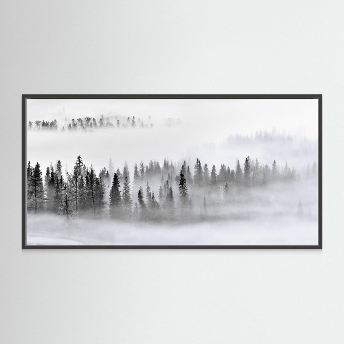 Foggy Forest by Mei Xu